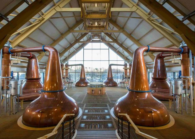 Перегонные кубы: полный путеводитель по выбору профессионального оборудования