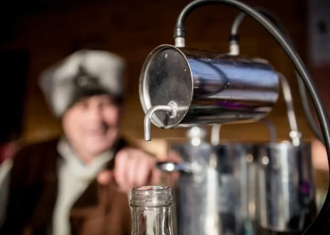 Самогоноварение: полный гид по технологии брожения и дистилляции - 1