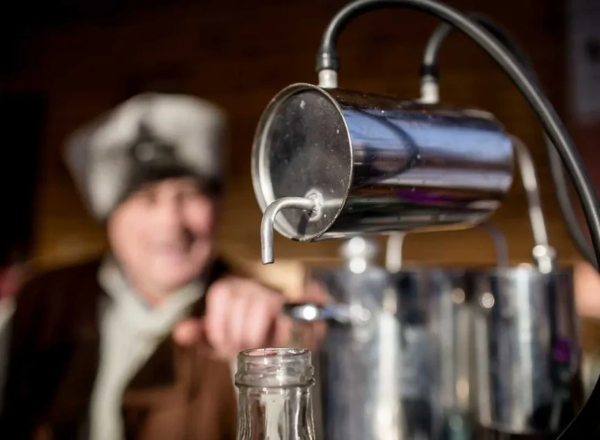 Самогоноварение: полный гид по технологии брожения и дистилляции