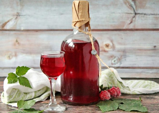 Искусство домашних настоек: энциклопедия рецептов от сбора ягод до идеального напитка - 1